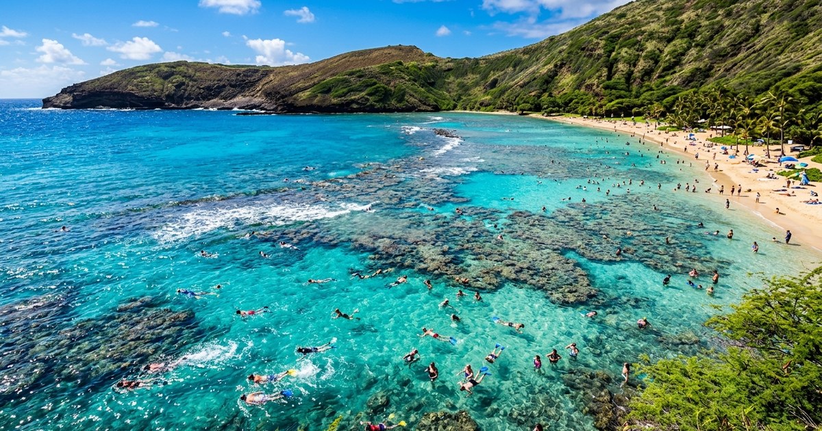 ハナウマ湾でシュノーケリングを楽しむ方法！オンライン予約のコツと現地のルール